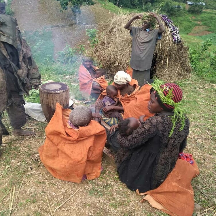 https://ugandawildlife.org/national-parks/bwindi-impenetrable-national-park/