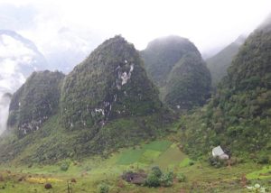 Bwindi Forest National Park