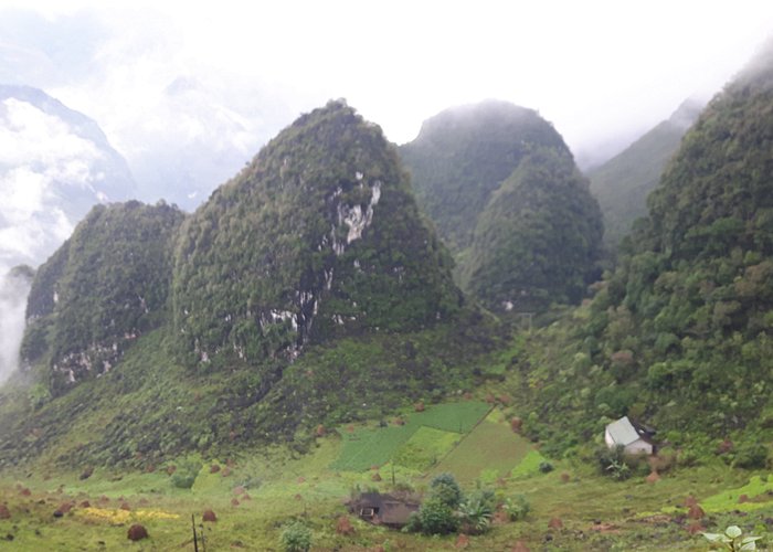 Bwindi Forest National Park
