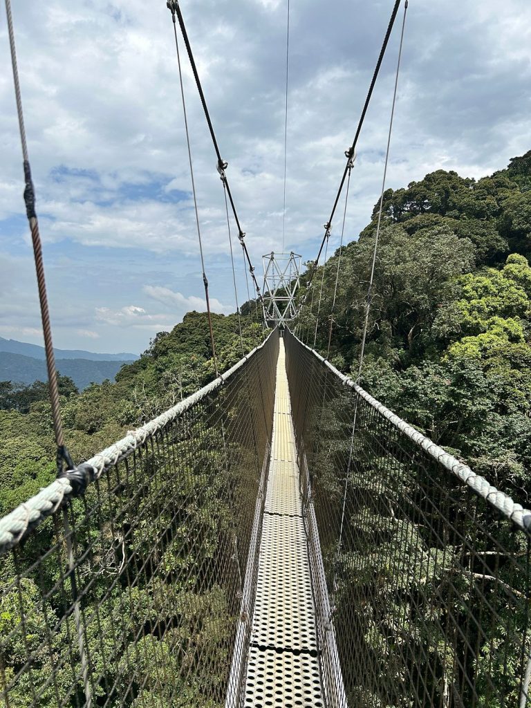 Nyungwe National Park Rwanda