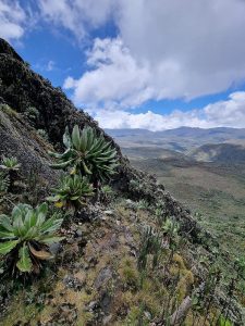 Mount Elgon National Park