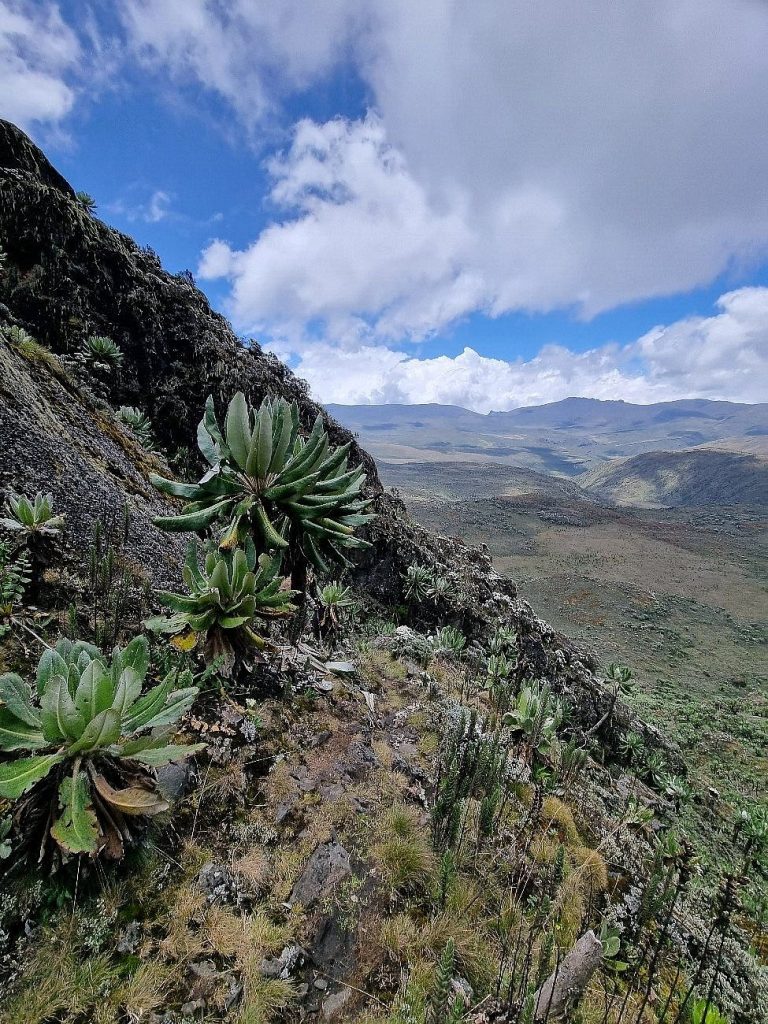 Mount Elgon National Park