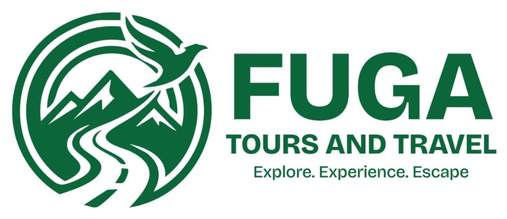 Planning a Safari Tour with Fuga Tours and Travel