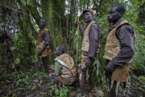 Bwindi Impenetrable National Park