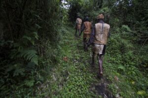 Bwindi Impenetrable National Park