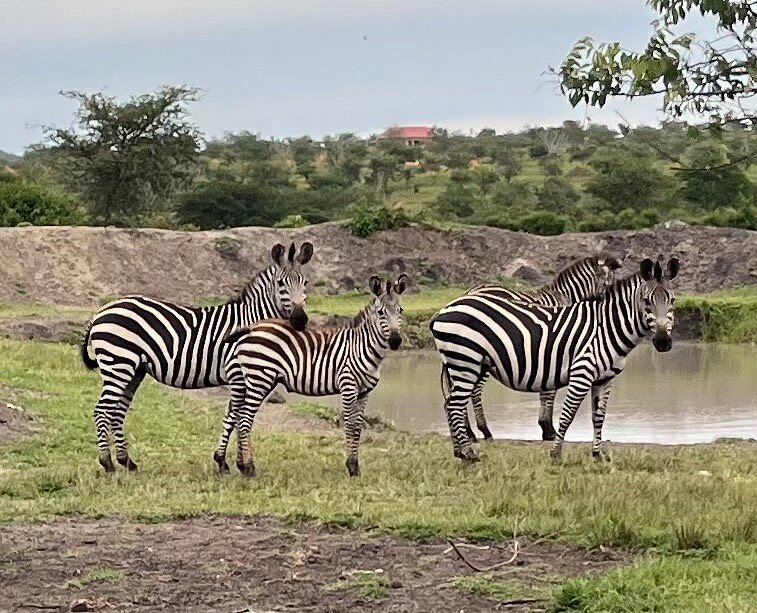 Lake Mburo National Park