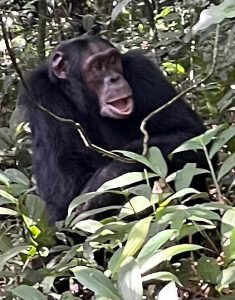 Why Rwanda Is Africa’s Top Tourist Destination.