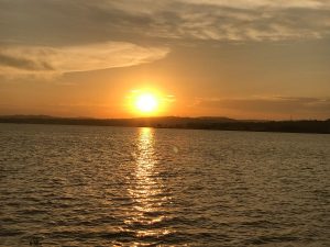 Luxury Safari Experiences in Uganda: