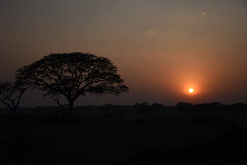 Honeymoon Safari in Rwanda