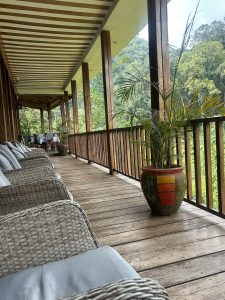 Lodges in Bwindi Impenetrable Forest Rushaga