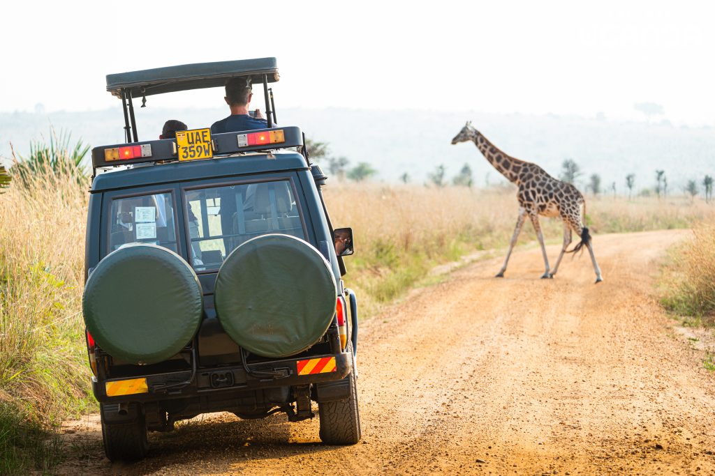 Travel Mistakes to Avoid in 2026 2027