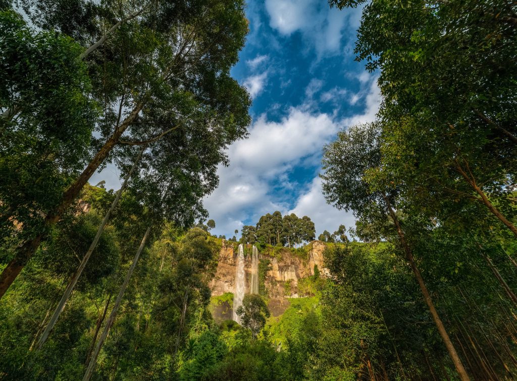 Uganda Travel Guide 2026 2027
