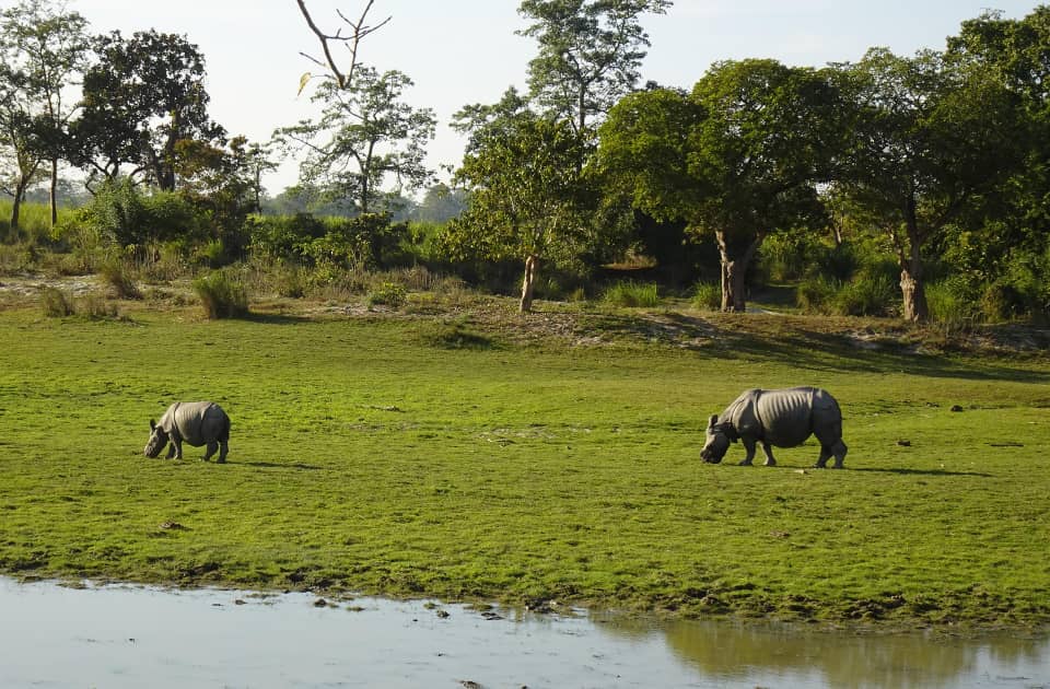 Uganda to Host the First Rhino Naming Ceremony