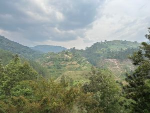 Other Things to Do in Rushaga After Gorilla Trekking: