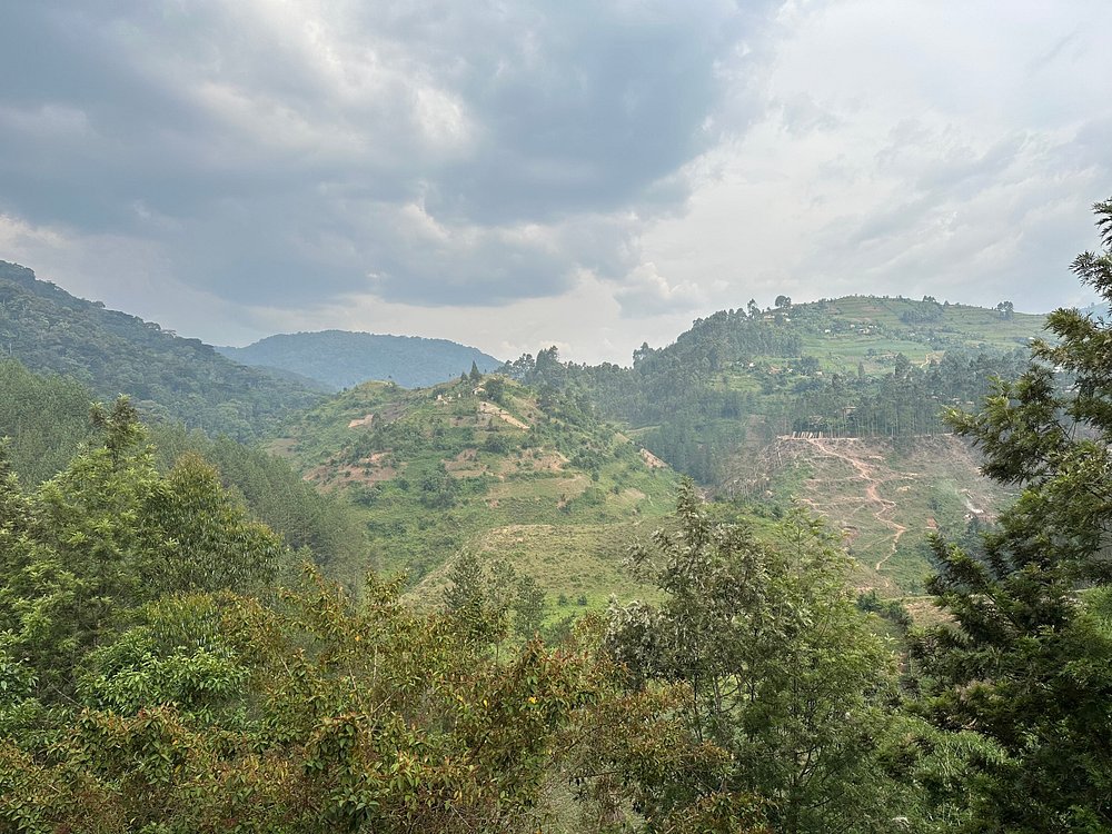 Other Things to Do in Rushaga After Gorilla Trekking: