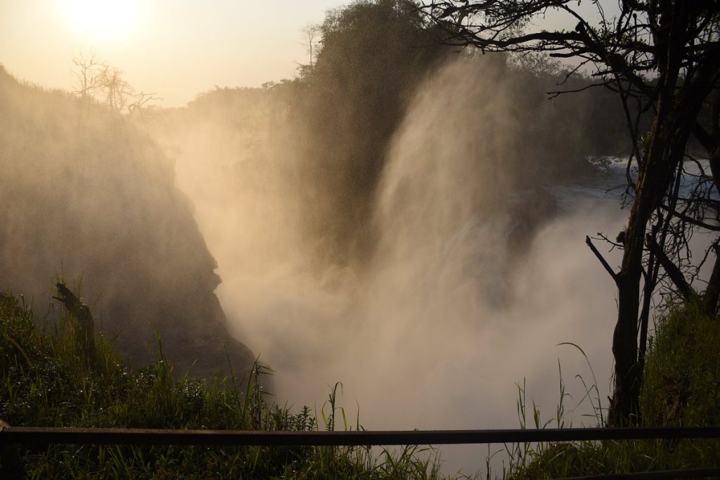 The Largest National Park in Uganda
