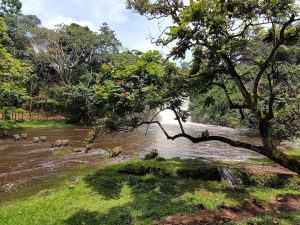Sezibwa Falls Uganda:
