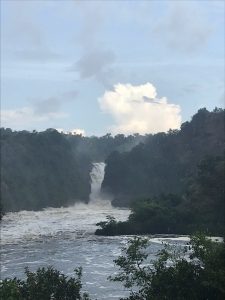 Boat Cruise Safari in Murchison Falls National Park