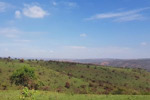 Top Places to Visit on a Rwanda Safari