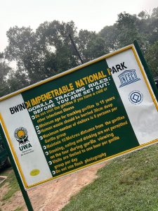 Bwindi and Akagera Safari: