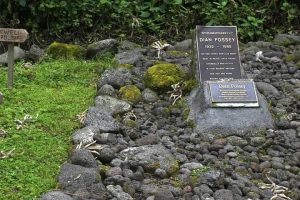Dian Fossey Tomb and Gorilla Trekking Tour: