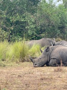 Private Uganda Safari Tours: