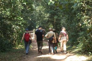 Entebbe to Rwanda Gorilla Trekking