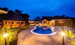 Best Lodges in Kibale National Park, Uganda