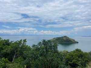 Rwanda Gorilla Trekking Honeymoon