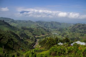 Akagera Honeymoon Safari: A Romantic African Escape in Rwanda