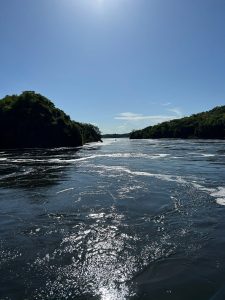 Murchison Falls Wildlife Safari from Kampala: