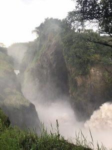 Murchison Falls and Ziwa Rhino Safari
