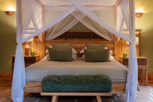 Best Lodges in Kibale National Park, Uganda