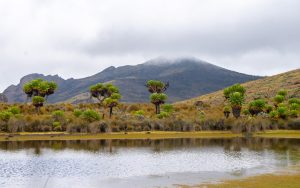 Mount Elgon Hiking Tours: