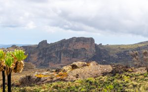 Mount Elgon Hiking Tours: