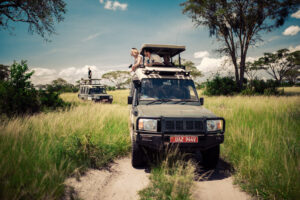 Group vs Private Safari