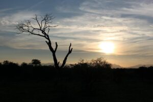Uganda e-Visa Application Guide 2026: Step-by-Step Process
