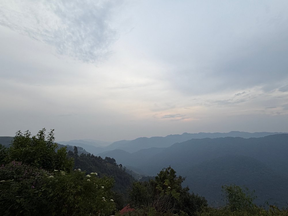 Nkuringo Sector Bwindi