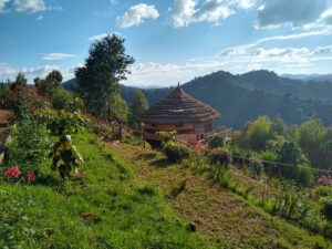 Best Safari Lodges in Uganda: