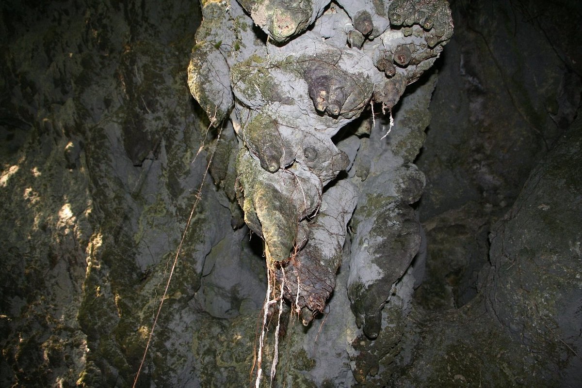 Amabere Ga Nyina Mwiru Caves: