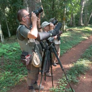 Best Binoculars for a Birding Safari