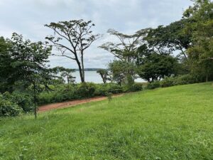 A-Day Layover Itinerary in Entebbe:
