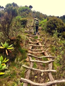 Altitude Sickness on Virunga and Bwindi Hikes: