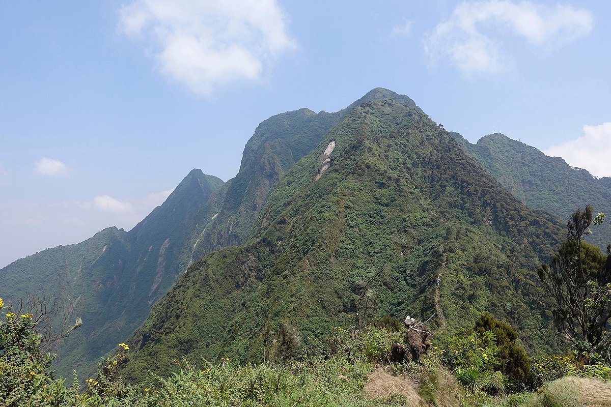 Mount Sabyinyo Hike