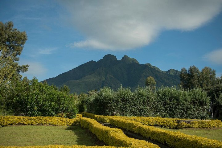 Altitude Sickness on Virunga and Bwindi Hikes: